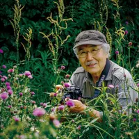 栗林慧の昆虫写真と生態解説