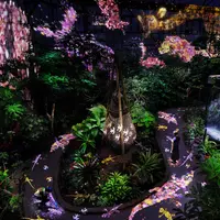 世界を旅する植物に住まう、花と共に生きる動物たち teamLab, 2018, Digital Installation