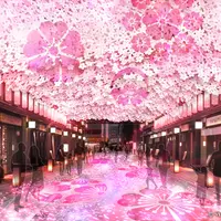 SAKURA TUNNEL