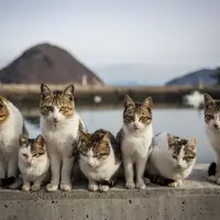 はにぶちひろあき