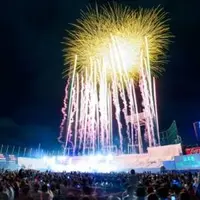 「神宮外苑花火大会」(c)日刊スポーツ新聞社