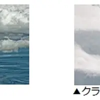 撮影 関 勝則