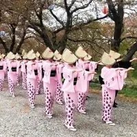 越中八尾おわら