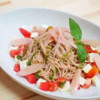 岩下の新生姜生そうめん～カプレーゼ仕立て～