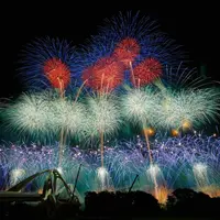 豊田おいでんまつり花火大会5
