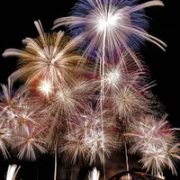 豊田おいでんまつり花火大会6