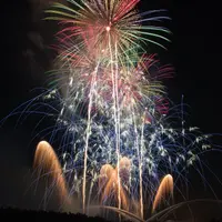 豊田おいでんまつり花火大会3