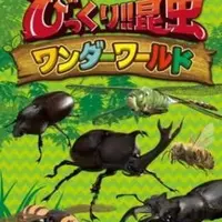 ワンダーワールド