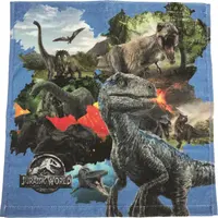 ハンドタオル 972円