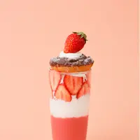 チョコドーナッツ ボンボンスムージー ストロベリー（本体価格 1,700円）