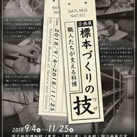 企画展「標本づくりの技」チラシ表面 画像提供：国立科学博物館