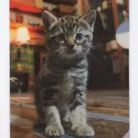 ●レシート入れ378円
