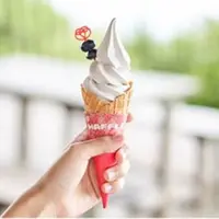 丹波黒豆ソフトクリーム