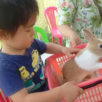 ふれあい動物園