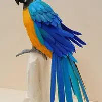 ルリコンゴウインコ