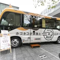 「ネコのバス」外観