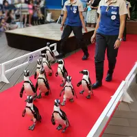 いきものハロウィンパレードイメージ