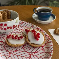 フィンランドのエリーナ・レベシュによる器のスタイリング