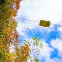 ロープウェー下からの様子