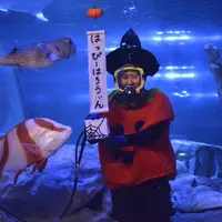 ハロウィン水中ショー