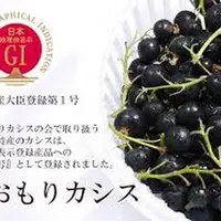 あおもりカシス