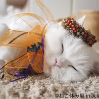 展示作品3