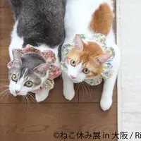 展示作品9