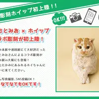 はしもとみお ✕ ホイップ