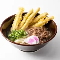 資さんうどんの肉ゴボ天うどん