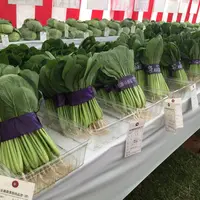 共進会出品の野菜