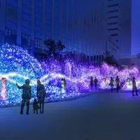 イルミネーション(イメージ)