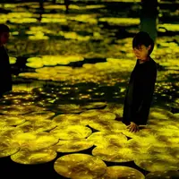 ※参考画像（秋の季節）