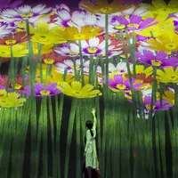 ※参考画像（10月の花）一年間を通して、刻々と咲いていく花々が移り変わっていく。