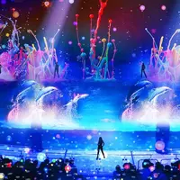 海の動物たちのショー「LIGHTIA」