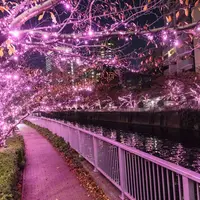 ※過去実施風景写真