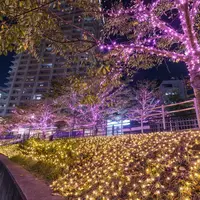 ※過去実施風景写真