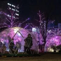※ガーデンイグルー過去実施風景