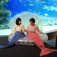 フォトスポット