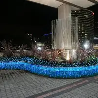 横浜駅東口からポートサイド地区へのイルミネーション