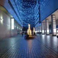 はまテラスイルミネーション「星降るテラス」