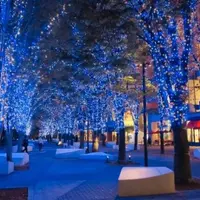 グランモール公園（昨年のイルミネーションの様子）