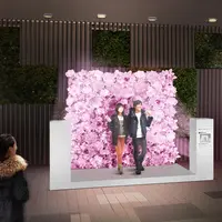 新宿ミロードモザイク通り広場「フラワーウォール」（イメージ）
