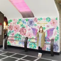 小田急エース「フラワーウォール」（イメージ）