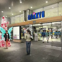 新宿西口ハルク　入口「フラワーツリー」（イメージ）