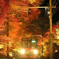 もみじのトンネル