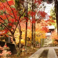 廣福寺の紅葉