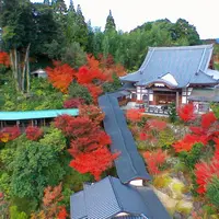 高野寺　雨でも屋根付きの回廊から紅葉が楽しめる