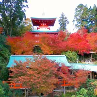高野寺　紅葉まつり