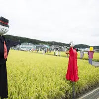 水田と案山子（アップ）