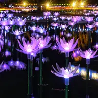 光の睡蓮（2016年登場）